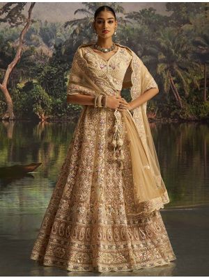 Dark Cream Soft Net Wedding Wear Designer Lehenga Choli small FABLE20477