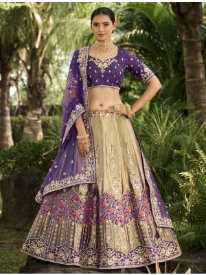 Deep Beige Banarasi Silk Designer Wedding Lehenga small FABLE20375