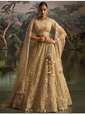 Deep Cream Soft Net Wedding Wear Designer Lehenga Choli small FABLE20479