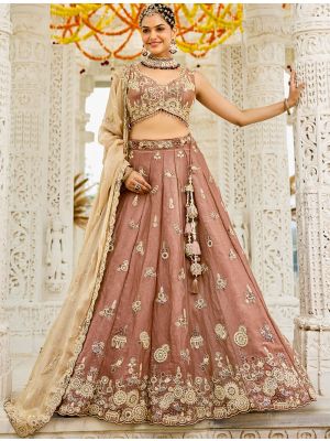 Light Rust Satin Silk Embroidered Ready To Wear Lehenga small FABLE20491