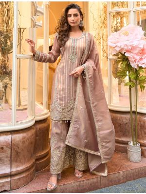 Mauve Viscose Free Size Ready To Wear Palazzo Suit small FABSL22395