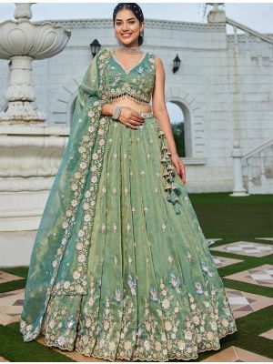 Pastel Green Tissue Embroidered Ready To Wear Lehenga small FABLE20495