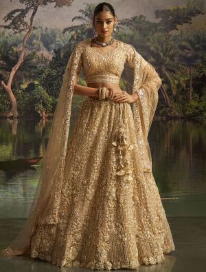 Deep Cream Soft Net Wedding Wear Designer Lehenga Choli small FABLE20479