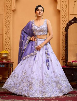 Lavender Tissue Embroidered Designer Lehenga Choli small FABLE20509